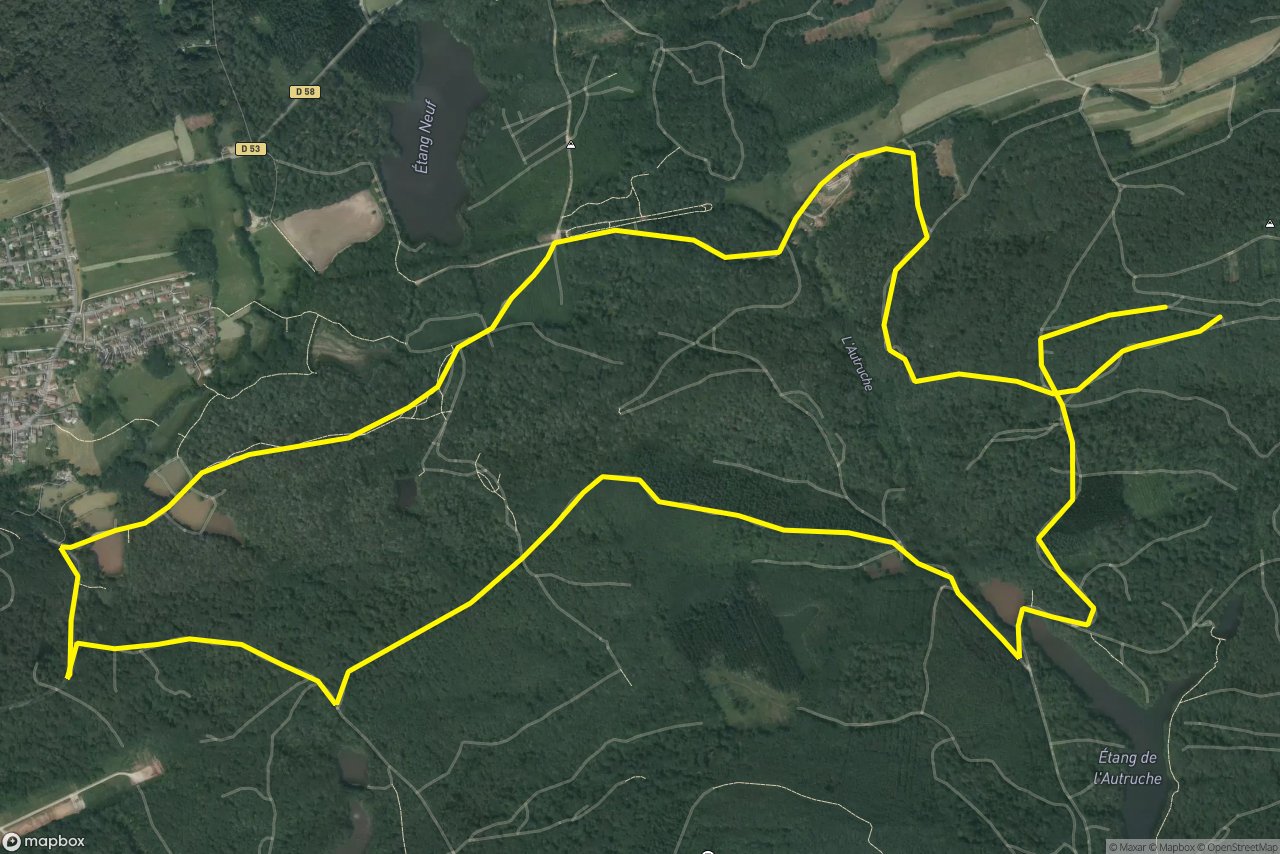 Belfort 10 km loop seen over 3D terrain