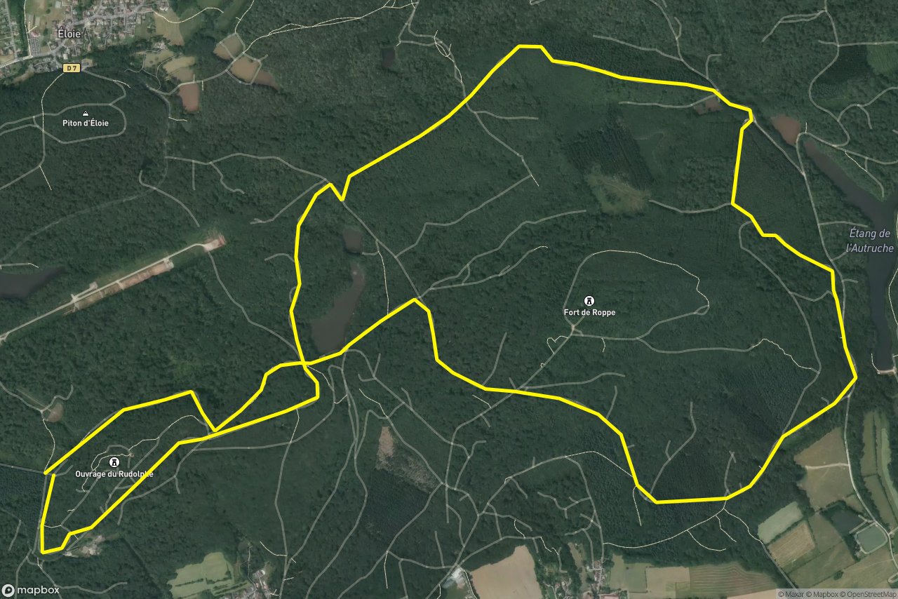 Belfort 10 km loop seen over 3D terrain