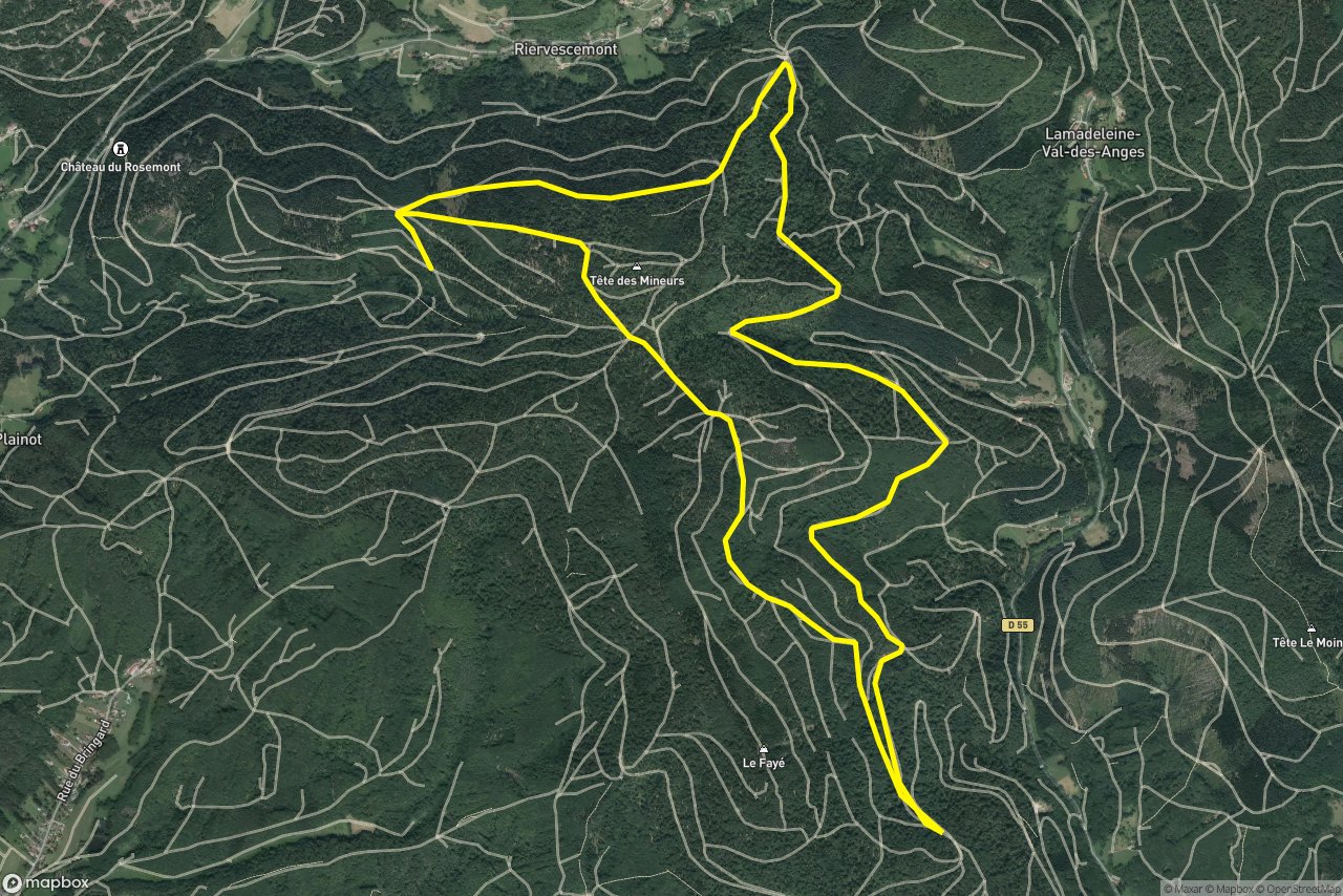 Belfort 11 km loop seen over 3D terrain