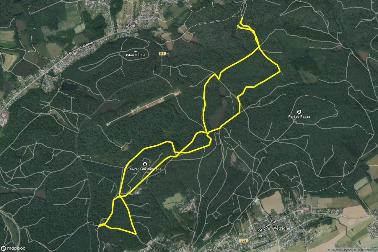 Belfort 9 km loop seen over 3D terrain