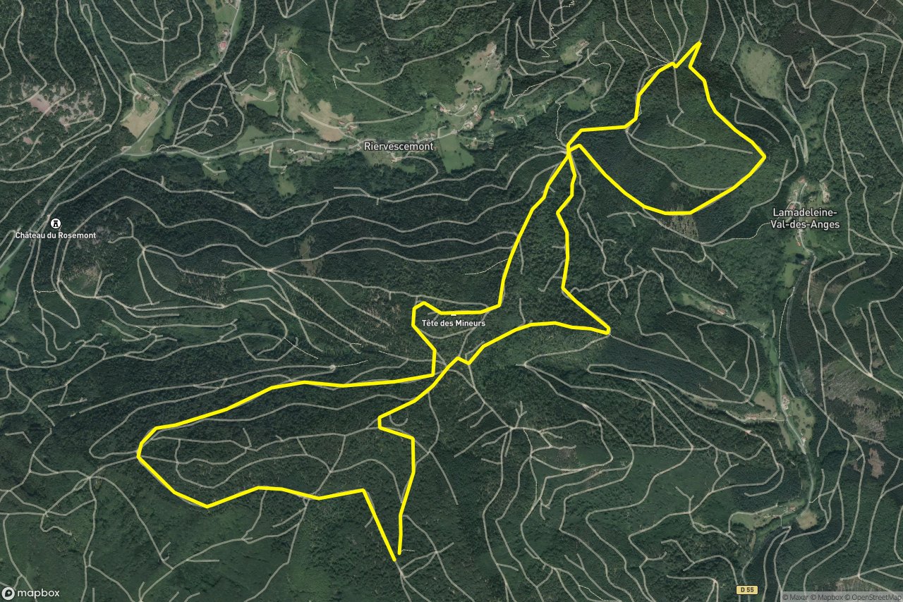 Route Forestière du Fayé 12 km loop seen over 3D terrain