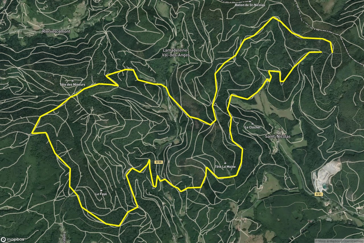 Route Forestière du Fayé 21 km loop seen over 3D terrain