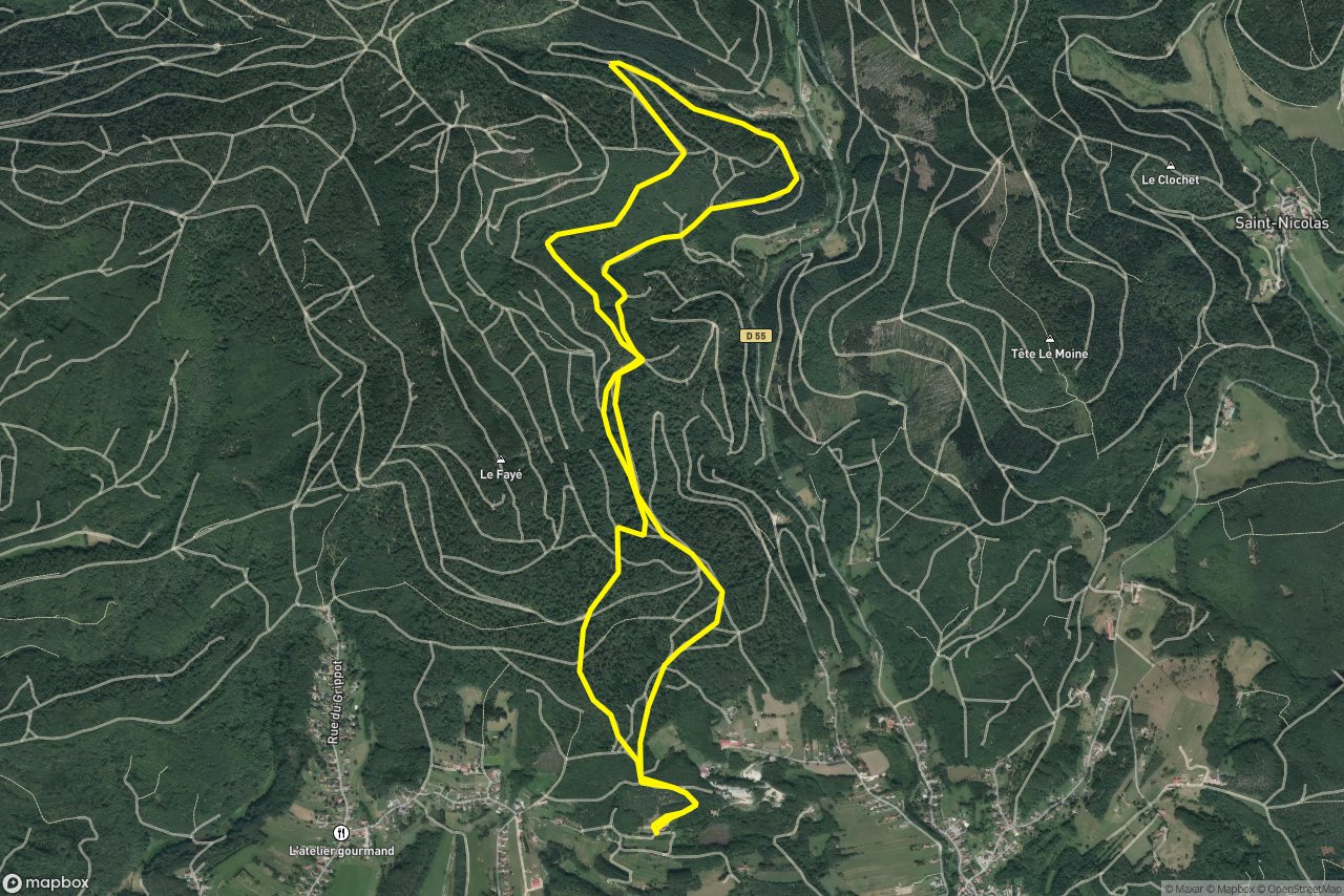 Route Forestière du Fayé 9 km loop seen over 3D terrain