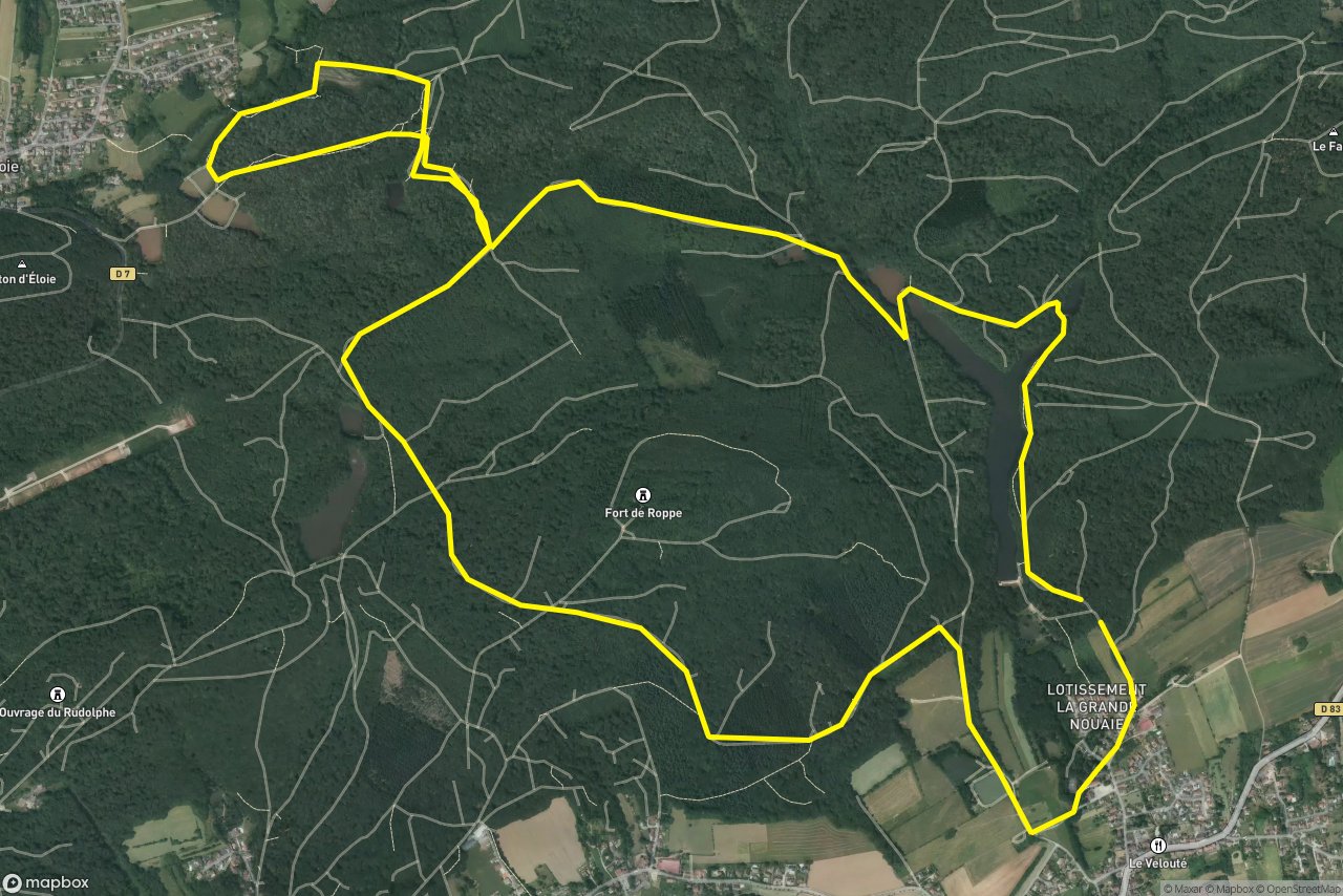 Rue de la Cotate – Chemin des Isles 12 km loop seen over 3D terrain