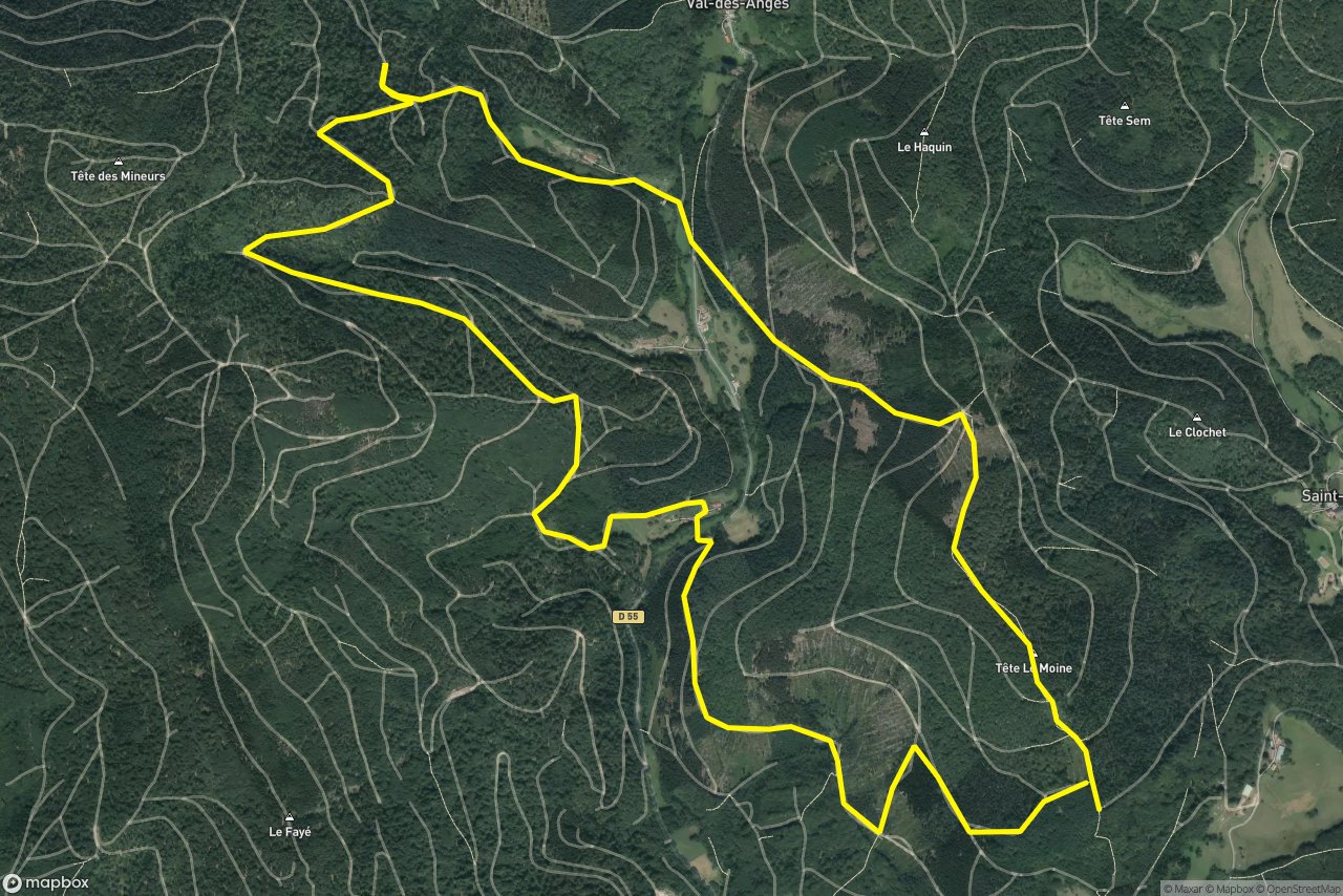 Rue du Ban des Parges 10 km loop seen over 3D terrain