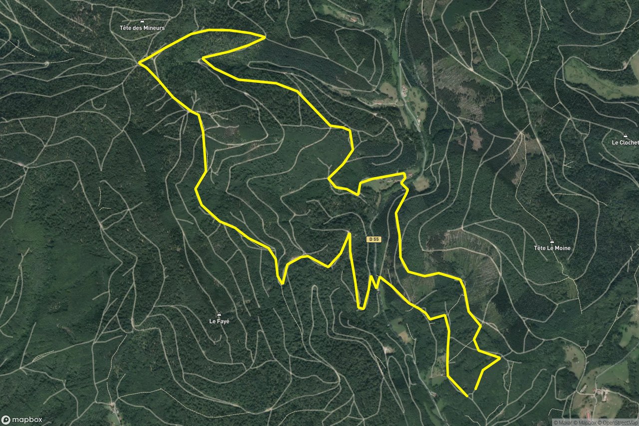 Rue du Ban des Parges 11 km loop seen over 3D terrain