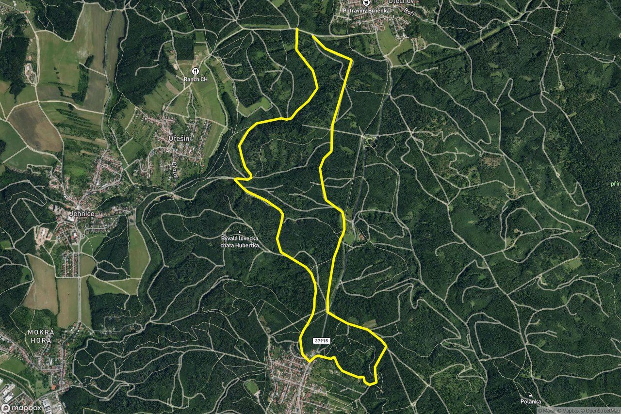 Lesní cesta Rakovec – Lesní cesta Zadní Melatín 9 km loop seen over 3D terrain