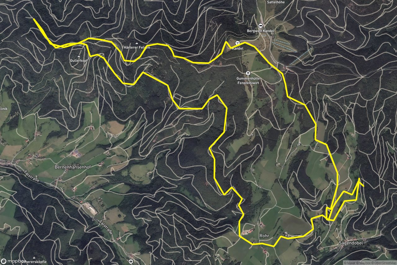 Kandelwaldweg – Präsident-Thoma-Weg 19 km loop seen over 3D terrain