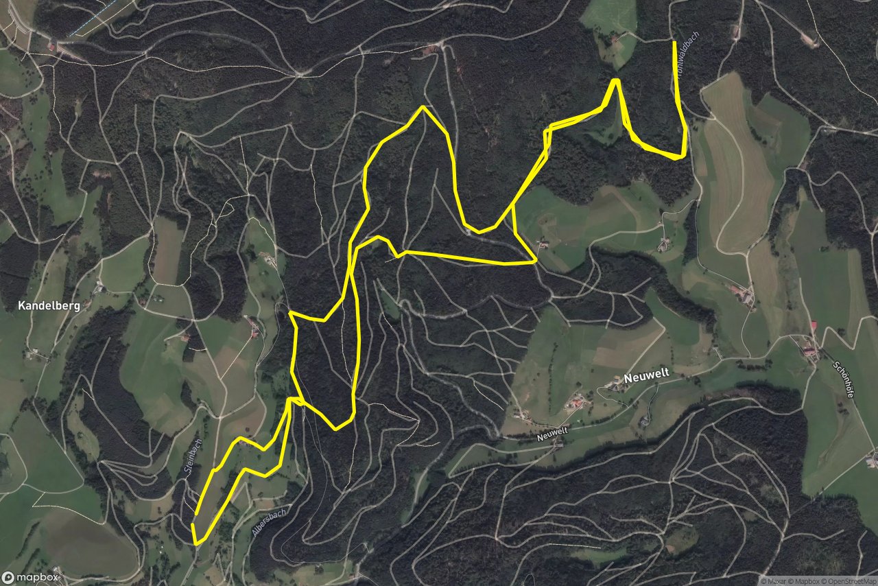 Rothansenweg – Schwarzwaldweg 11 km loop seen over 3D terrain