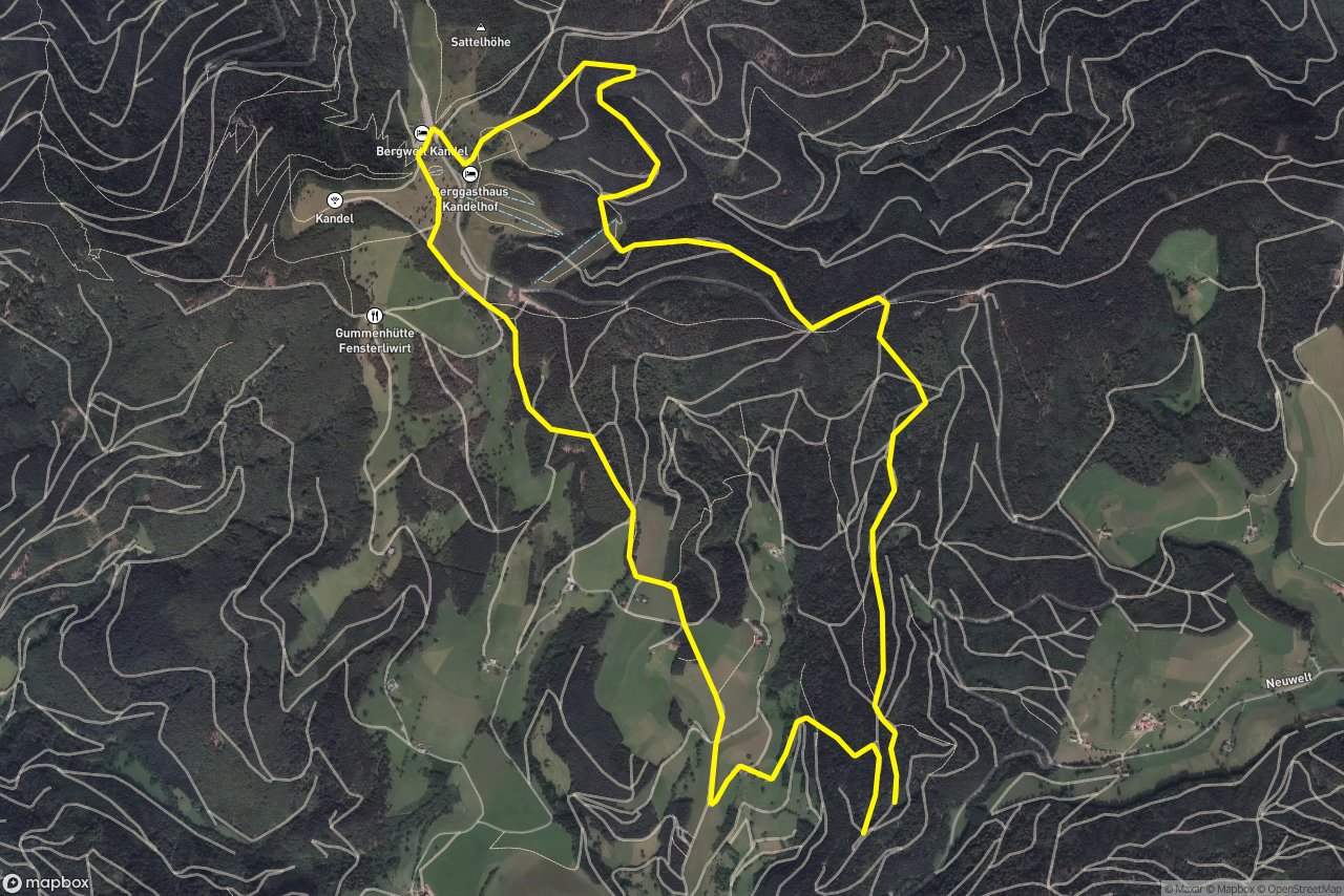 Schwarzmoosweg – Eisenhutweg 10 km loop seen over 3D terrain