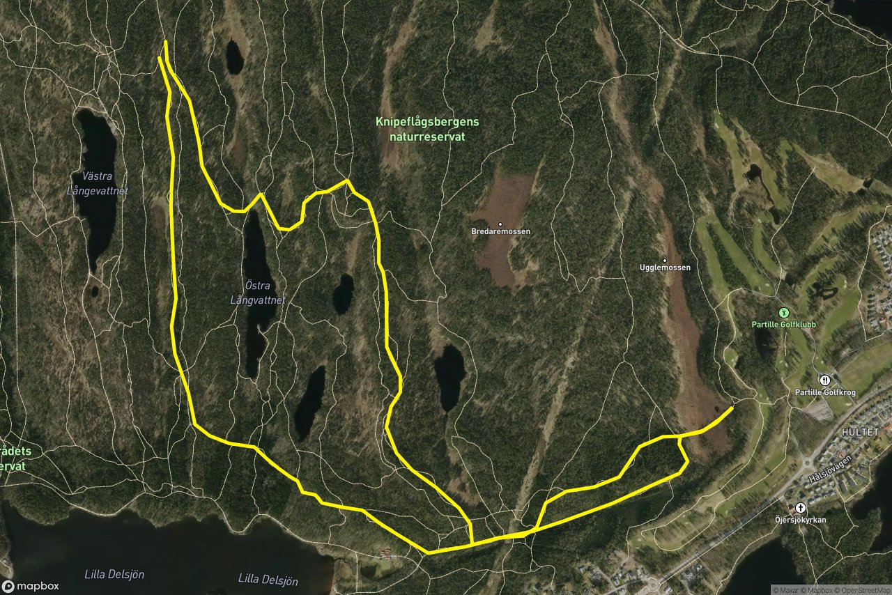 Delsjön 8 km loop seen over 3D terrain