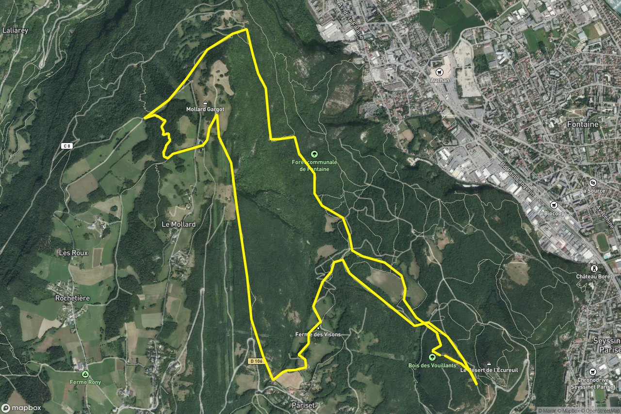 Chemin du Grand Pariset – Chemin des Ferrières 13 km loop seen over 3D terrain