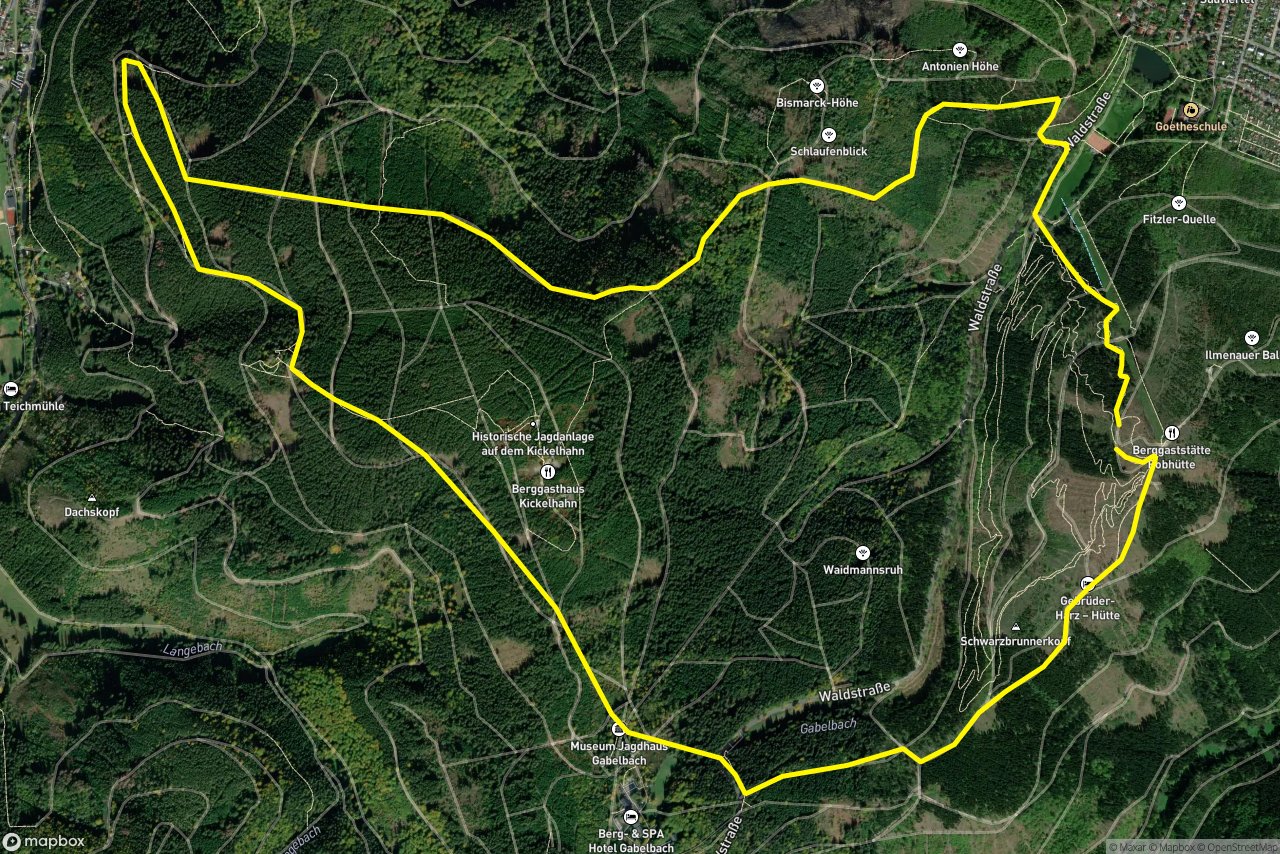 Kickelhahnweg – Auerhahnsweg 10 km loop seen over 3D terrain