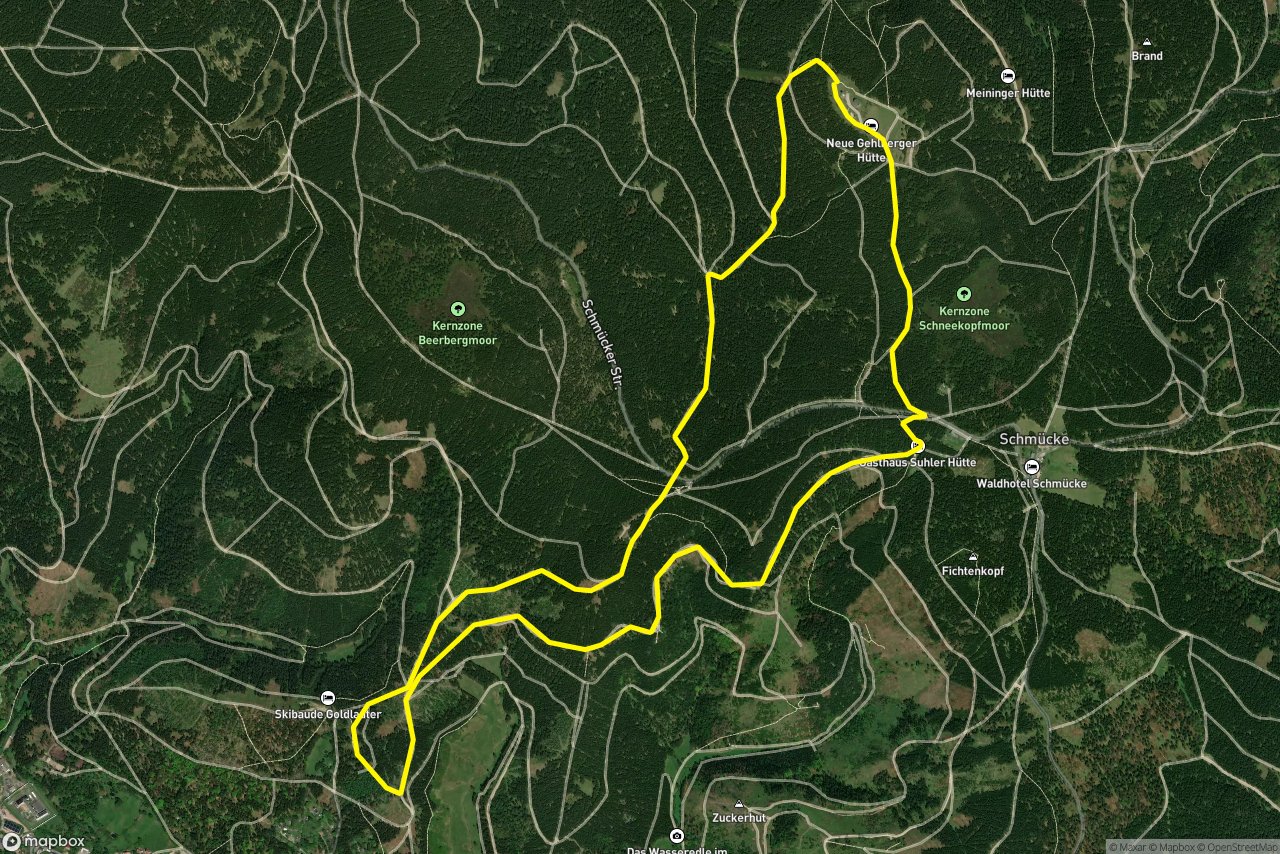 Rosenkopfstraße – Rodelstrecke am Adler 9 km loop seen over 3D terrain