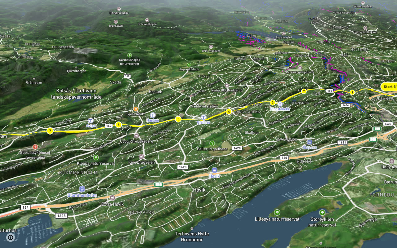 160 (sykkelrute) seen over 3D terrain