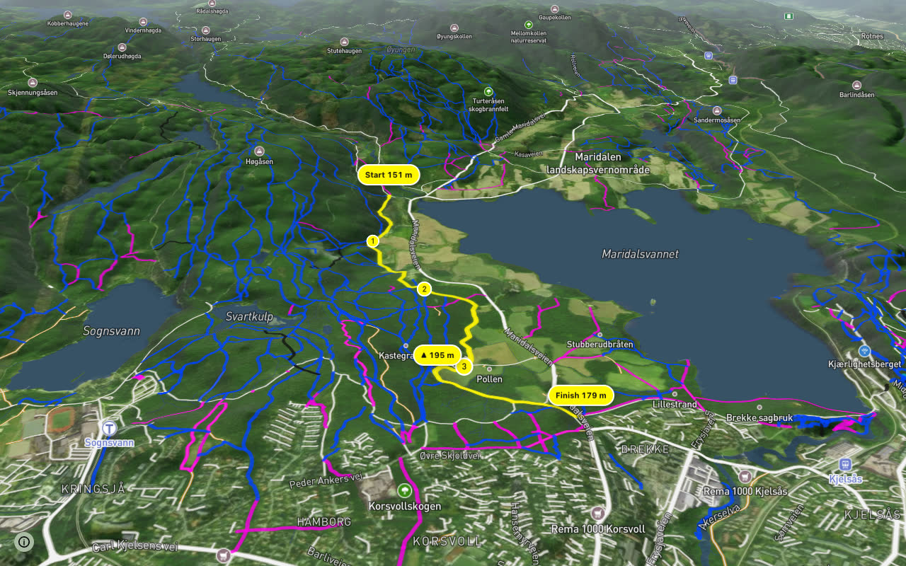Påls vei seen over 3D terrain