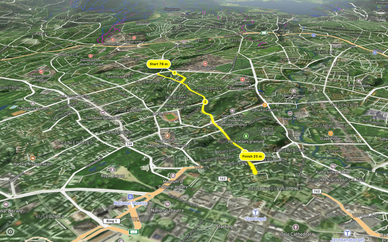 Sognsveien seen over 3D terrain