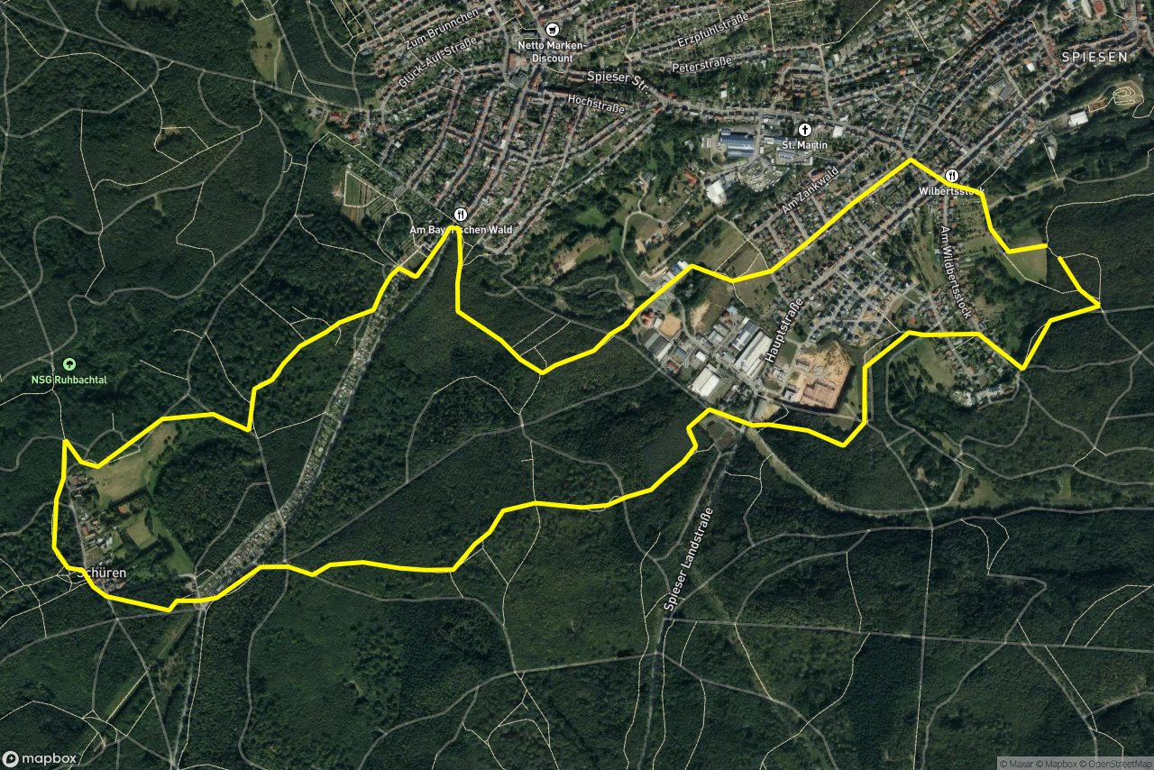 Georg-Bauer-Straße – Am Wildbertsstock 9 km loop seen over 3D terrain