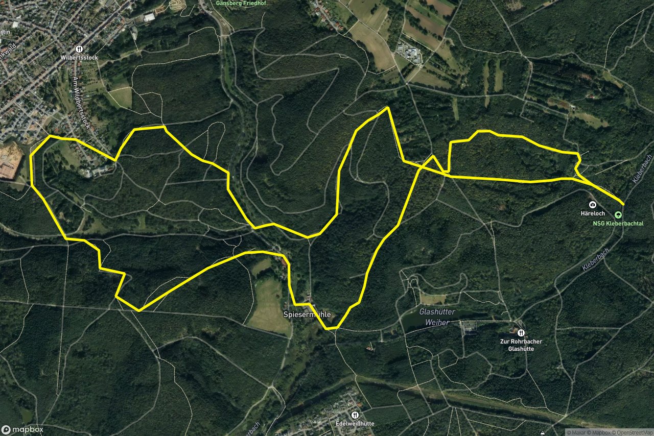 Spiesermühle – Am Wildbertsstock 10 km loop seen over 3D terrain