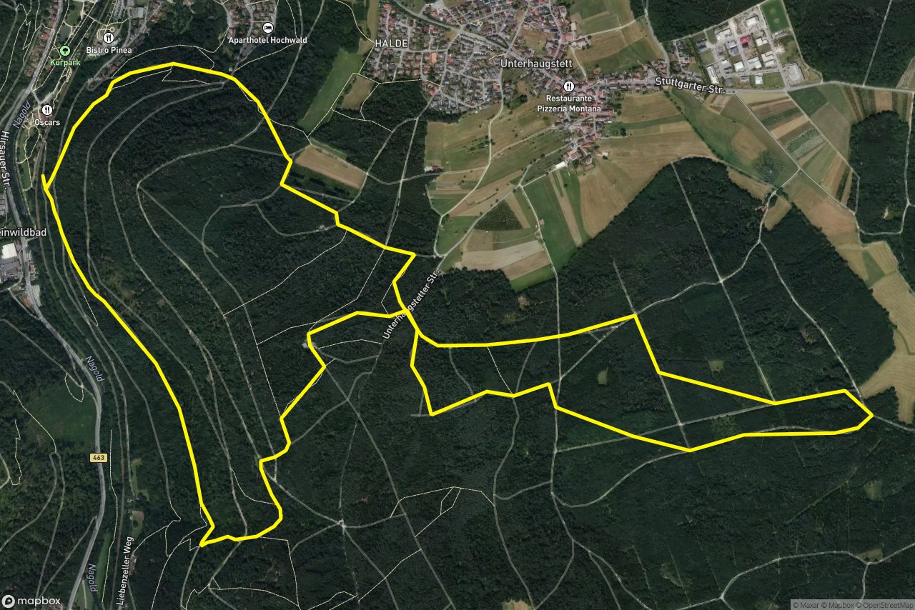 Neuer Ottenbronner Weg – Erlenhauweg 10 km loop seen over 3D terrain