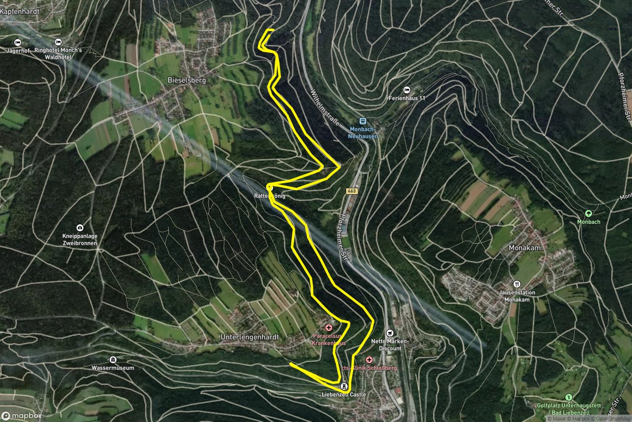 Viertelesweg – Schlosshaldenweg 11 km loop seen over 3D terrain