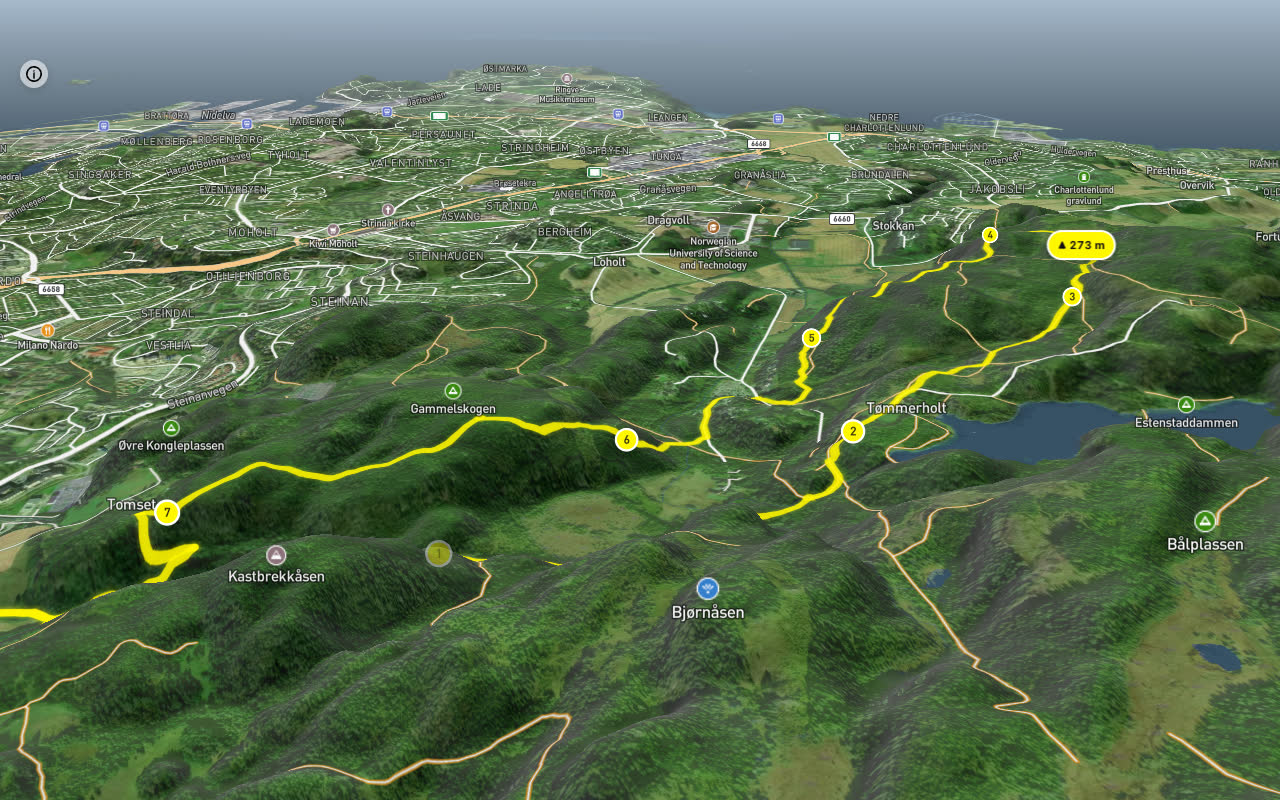 Estenstadvegen 8 km loop seen over 3D terrain