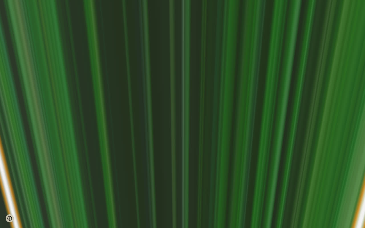 Birmensdorf ZH - Lieli (Kantonsgrenze) seen over 3D terrain