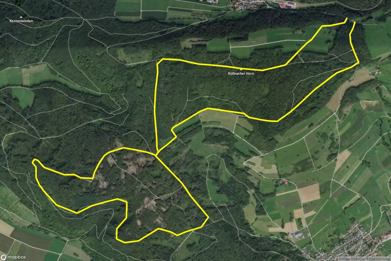 Jagdhüttenweg – Oberer Forlenweg 10 km loop seen over 3D terrain