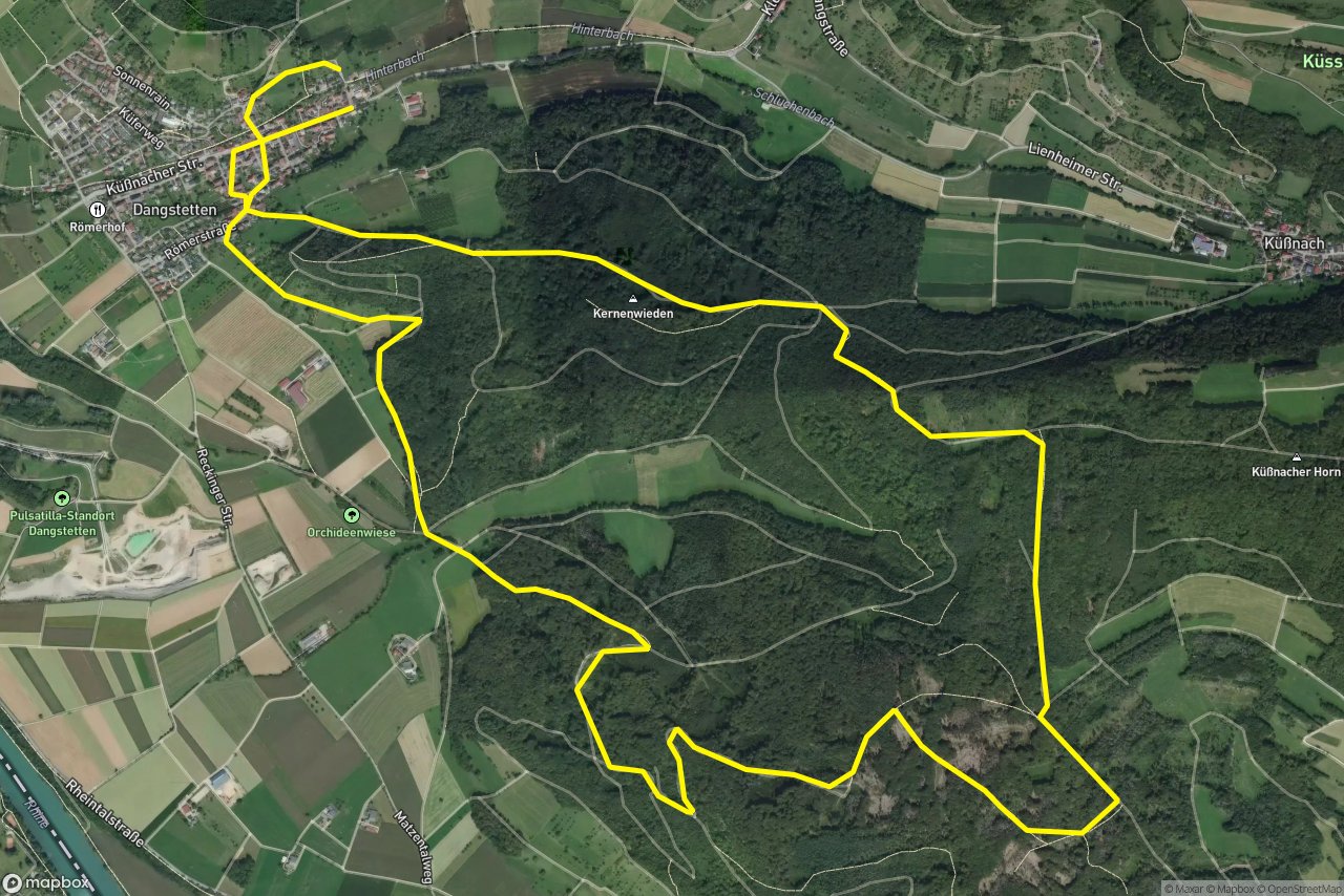 Küßnacher Straße – Oberer Forlenweg 10 km loop seen over 3D terrain
