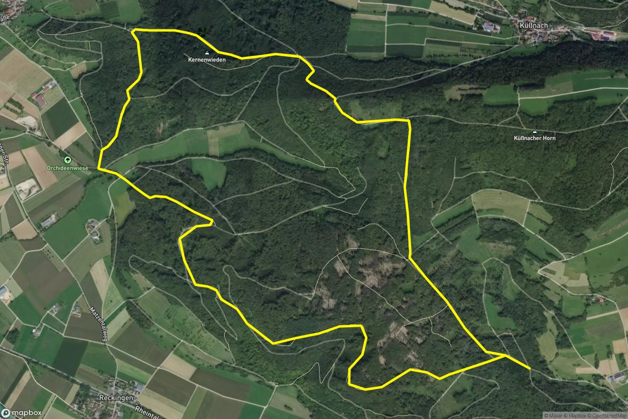 Oberer Forlenweg – Forlenweg 9 km loop seen over 3D terrain