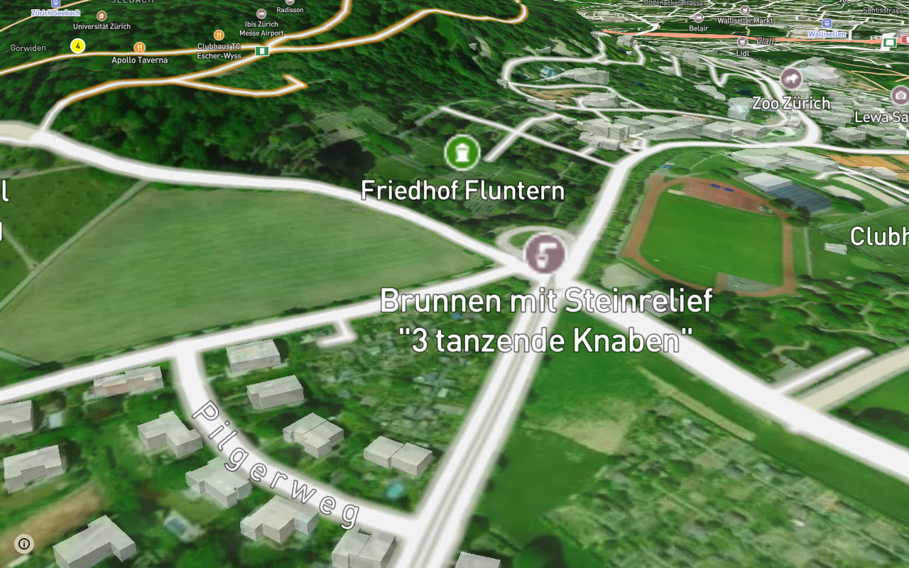 Stettbach - Schwamendingen - Oerlikonerstrasse seen over 3D terrain